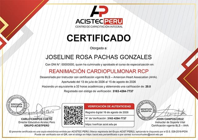 Curso Oline De Reanimación Cardiopulmonar (Rcp)